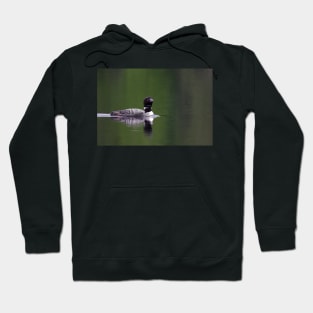 Lone Loon - Common Loon Hoodie